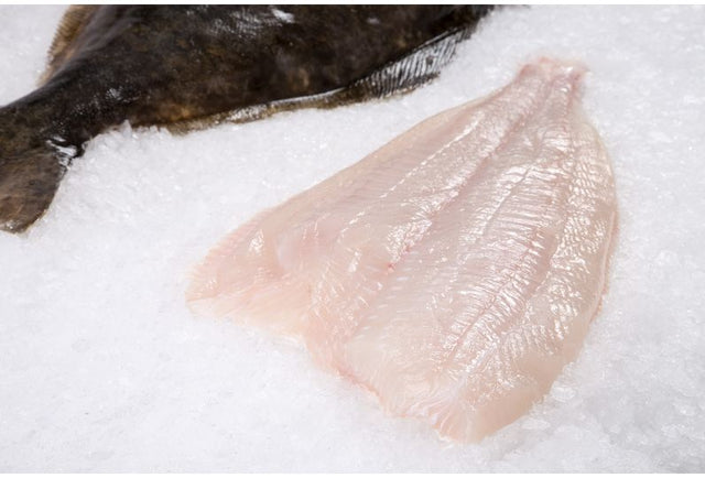 Wild Halibut Fillet (Skin-On)